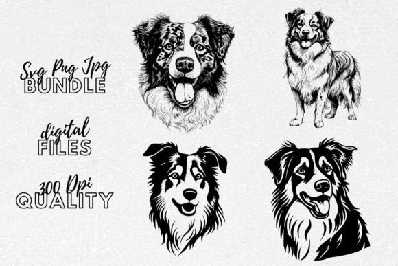 Australian Shepherd SVG – Aussie Dog: Real Project Review