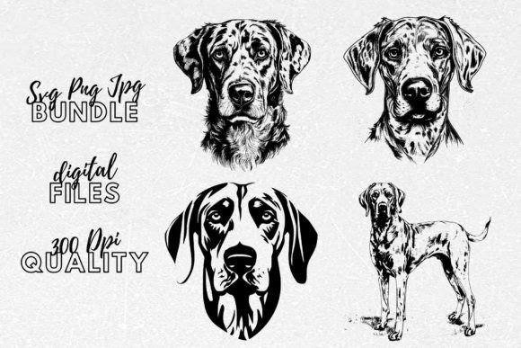 Catahoula SVG – A Designer’s Take on the Catahoula Dog Clipart