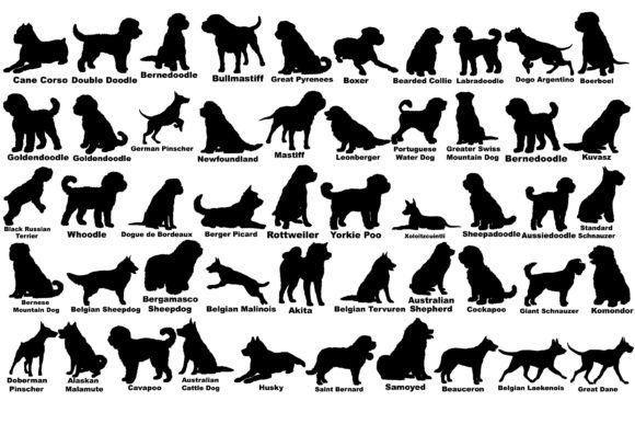 Dog Silhouette Breeds SVG: A Designer's Field Test